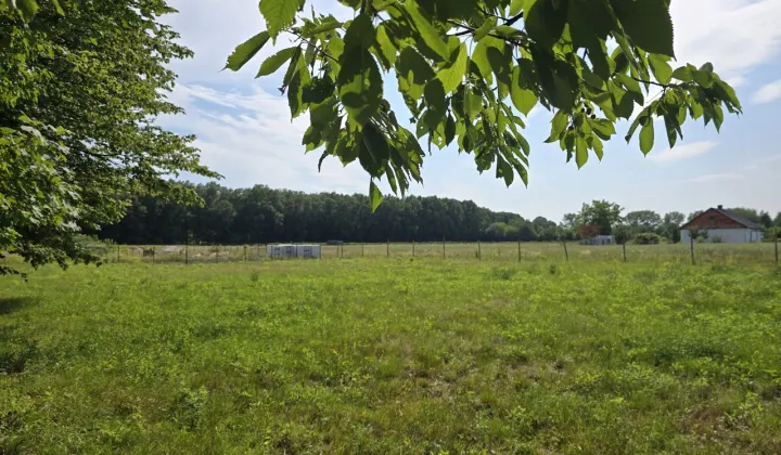 Działka siedliskowa Piotrawin