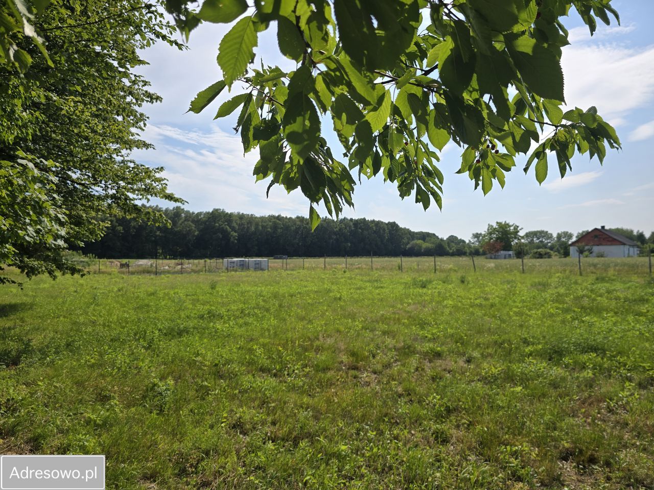 Działka siedliskowa Piotrawin. Zdjęcie 1