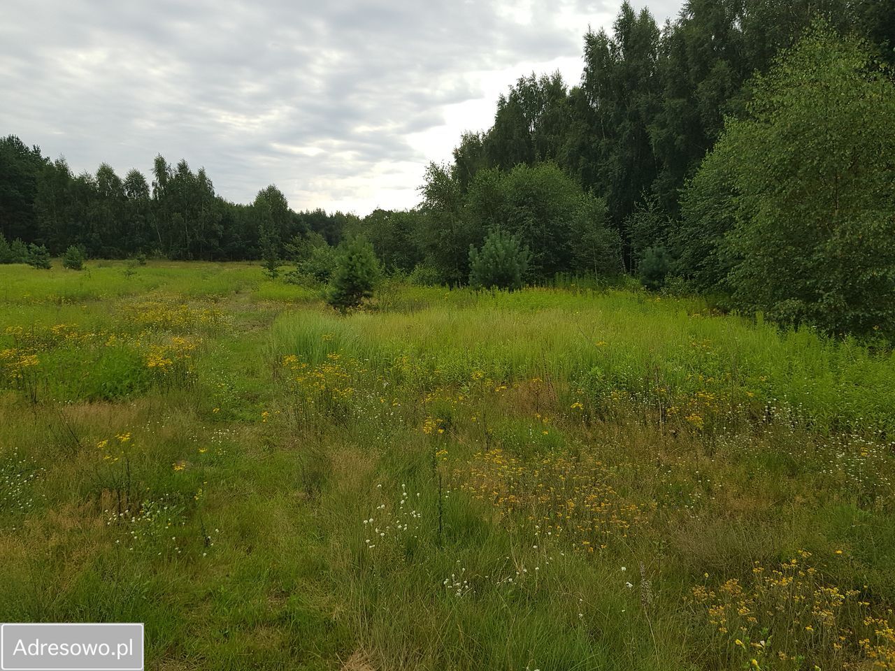 Działka budowlana Janowo. Zdjęcie 6