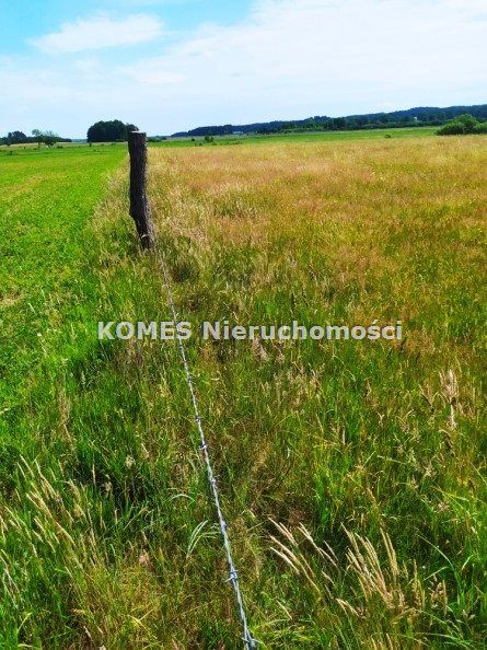 Działka rolna Jonkowo. Zdjęcie 6