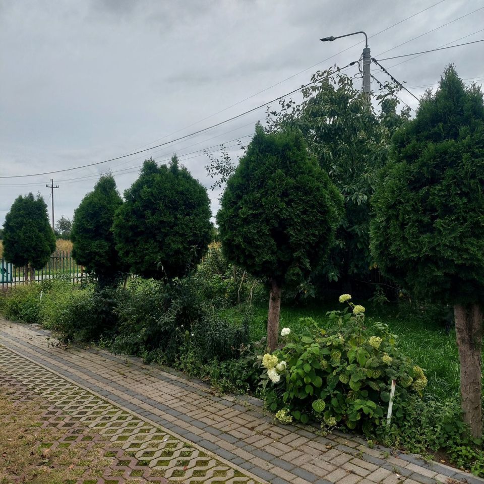 bliźniak, 4 pokoje Mochowo. Zdjęcie 16