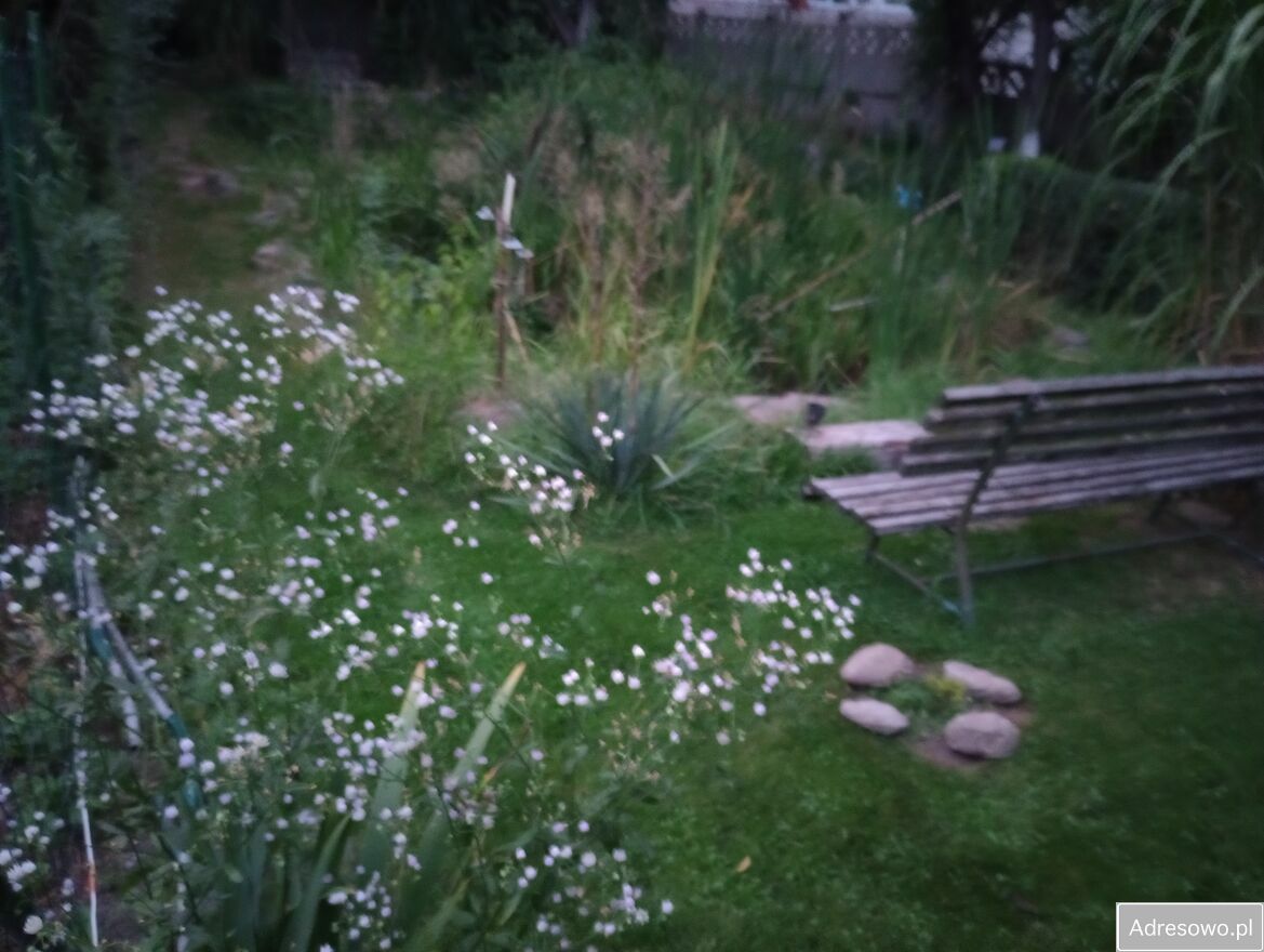 Działka budowlana Piława Górna, ul. Stefana Okrzei. Zdjęcie 6