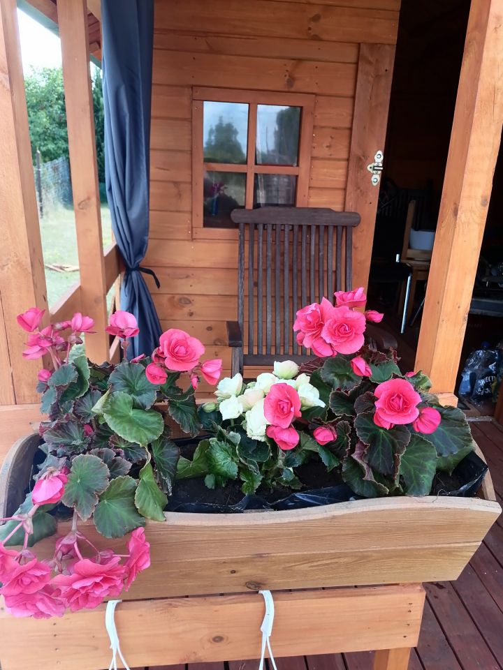 Działka rekreacyjna Nowogard, ul. Leśna. Zdjęcie 7