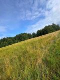 Działka rolno-budowlana Mleczków Mleczków-Kolonia. Zdjęcie 3