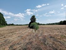 Działka rolna Drzeń. Zdjęcie 3