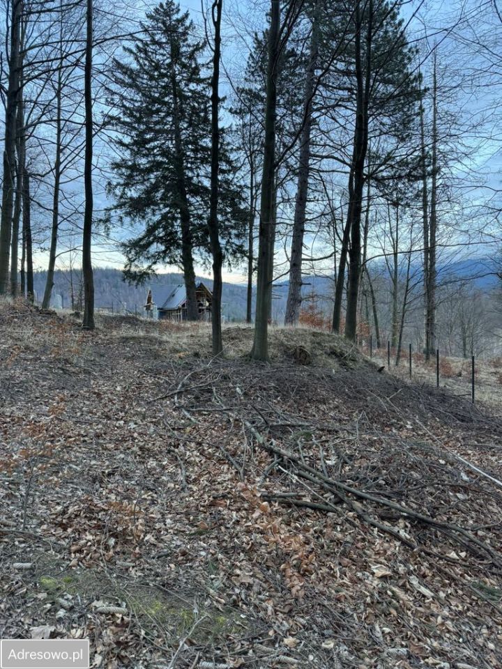 Działka inwestycyjna Szklarska Poręba, ul. Wiejska. Zdjęcie 2