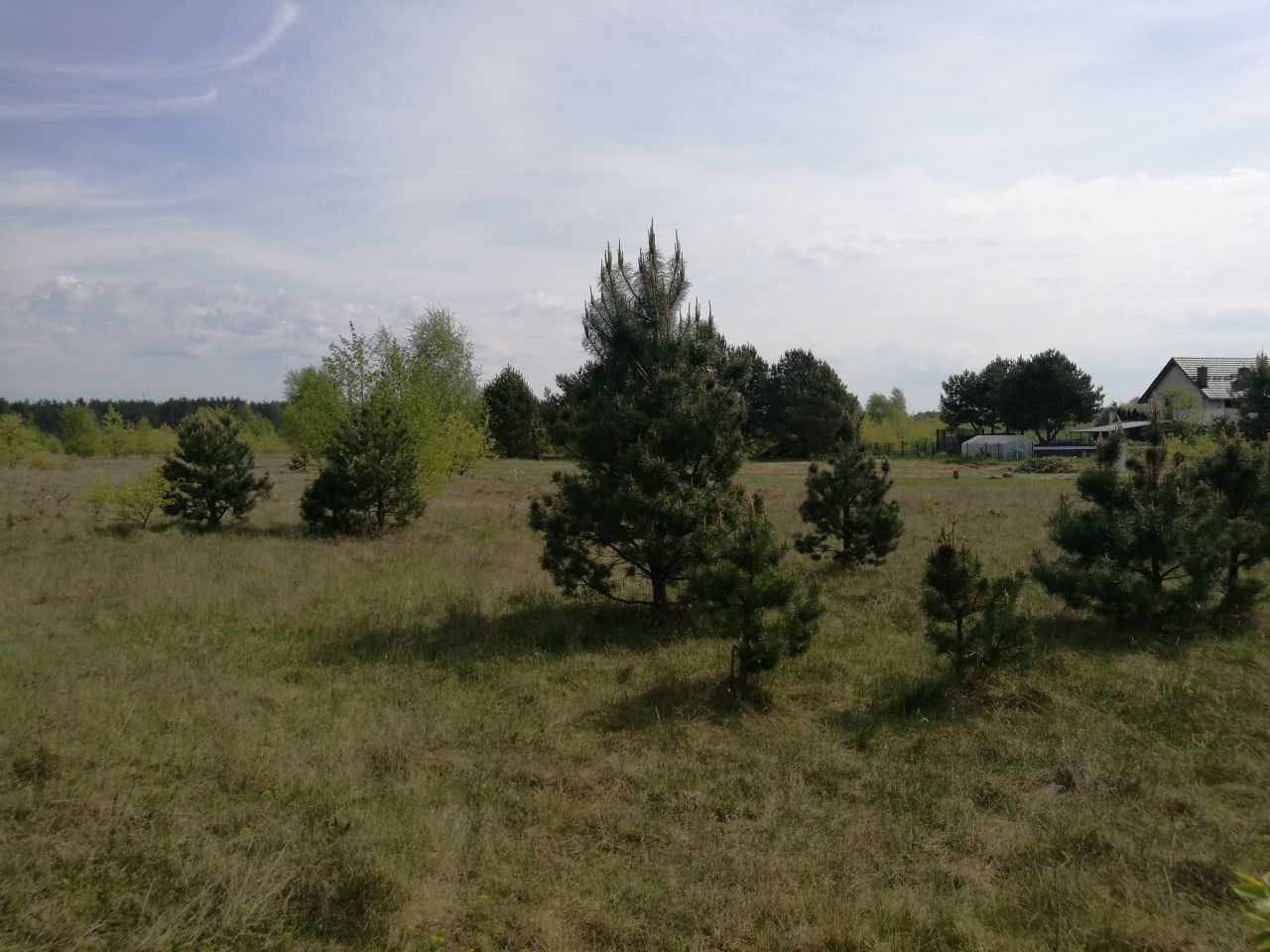 Działka budowlana Skórka. Zdjęcie 8