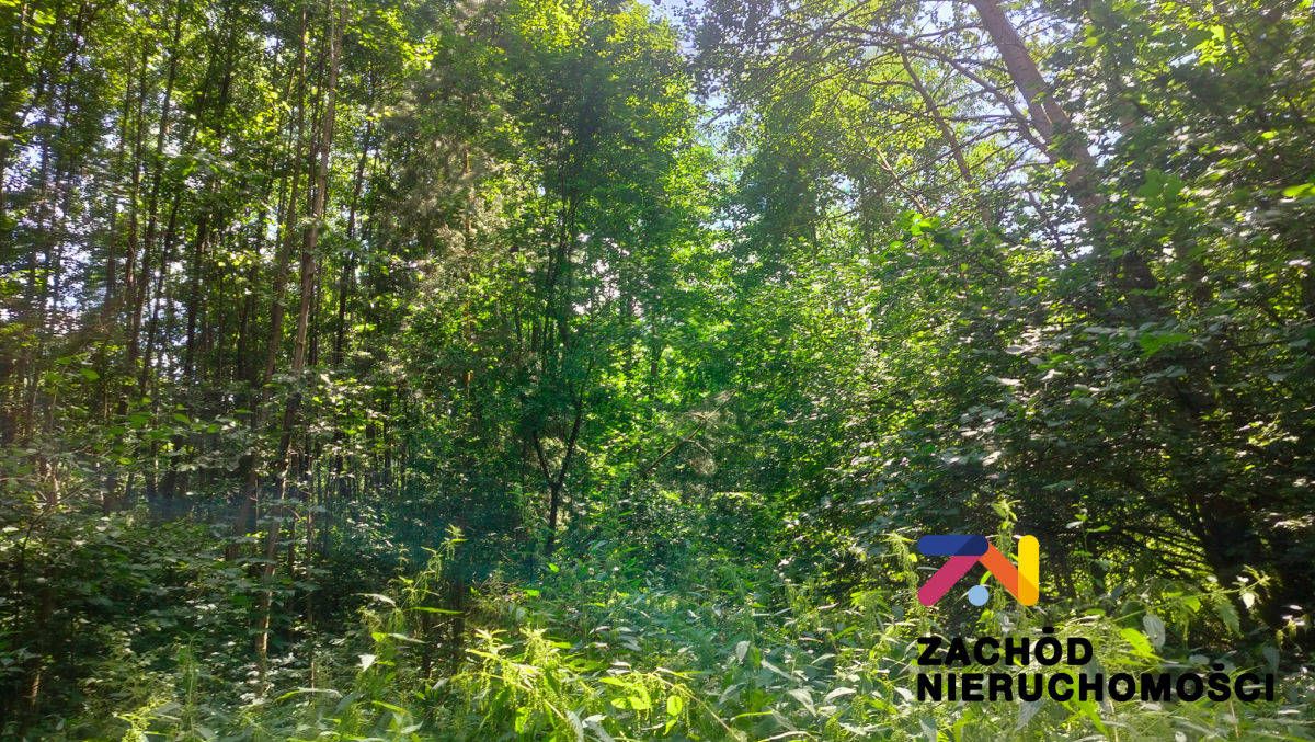 Działka budowlana Zielona Góra Ochla, ul. Strumykowa. Zdjęcie 4