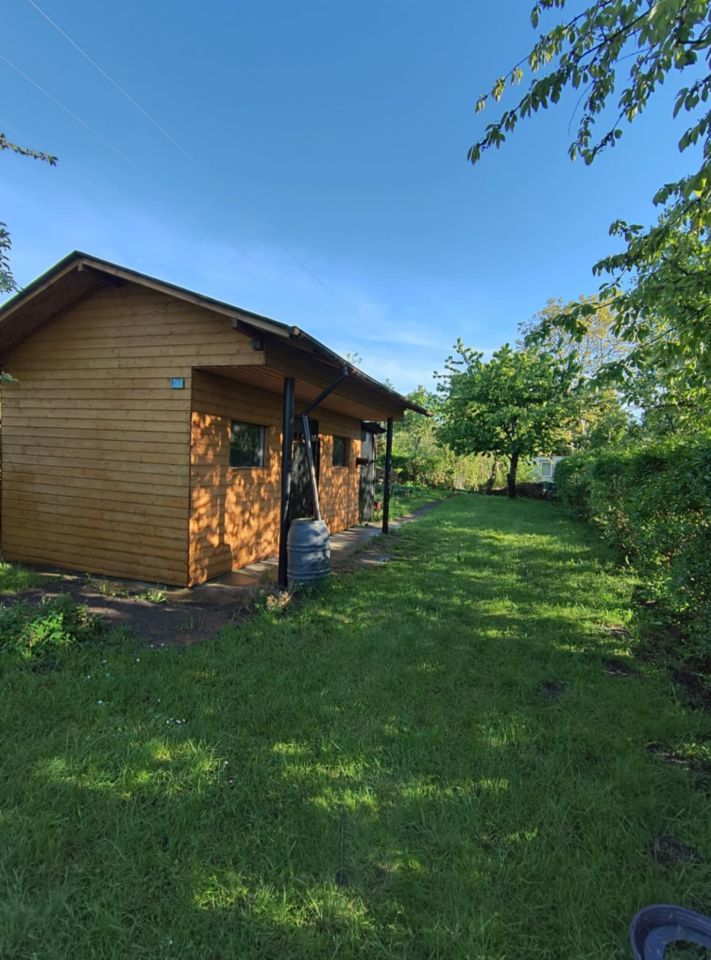 Działka rod Gdańsk Olszynka, ul. Olszyńska. Zdjęcie 3