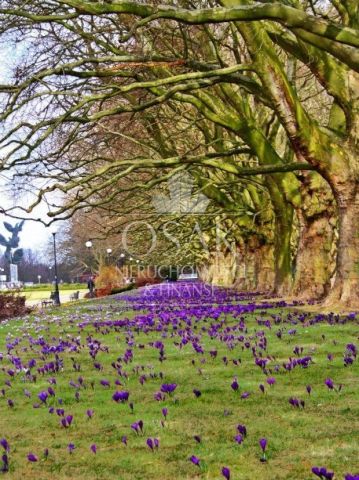 Mieszkanie 2-pokojowe Szczecin Centrum. Zdjęcie 15