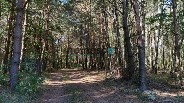 Działka budowlana Stęszewko, ul. Wiejska. Zdjęcie 5