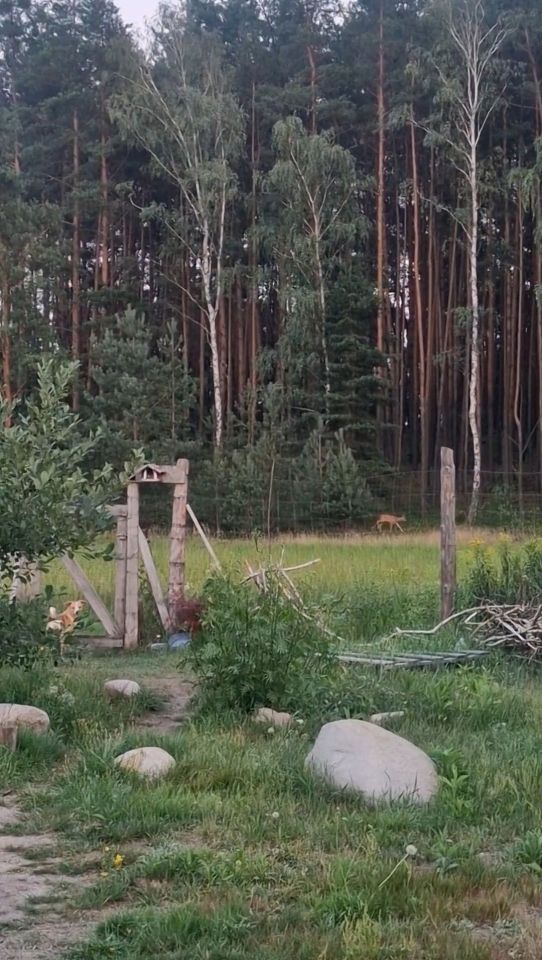 Działka budowlana Zagórze, ul. Echa Leśnego. Zdjęcie 5