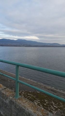 Działka budowlana Frydman, ul. Na Skarpie. Zdjęcie 1