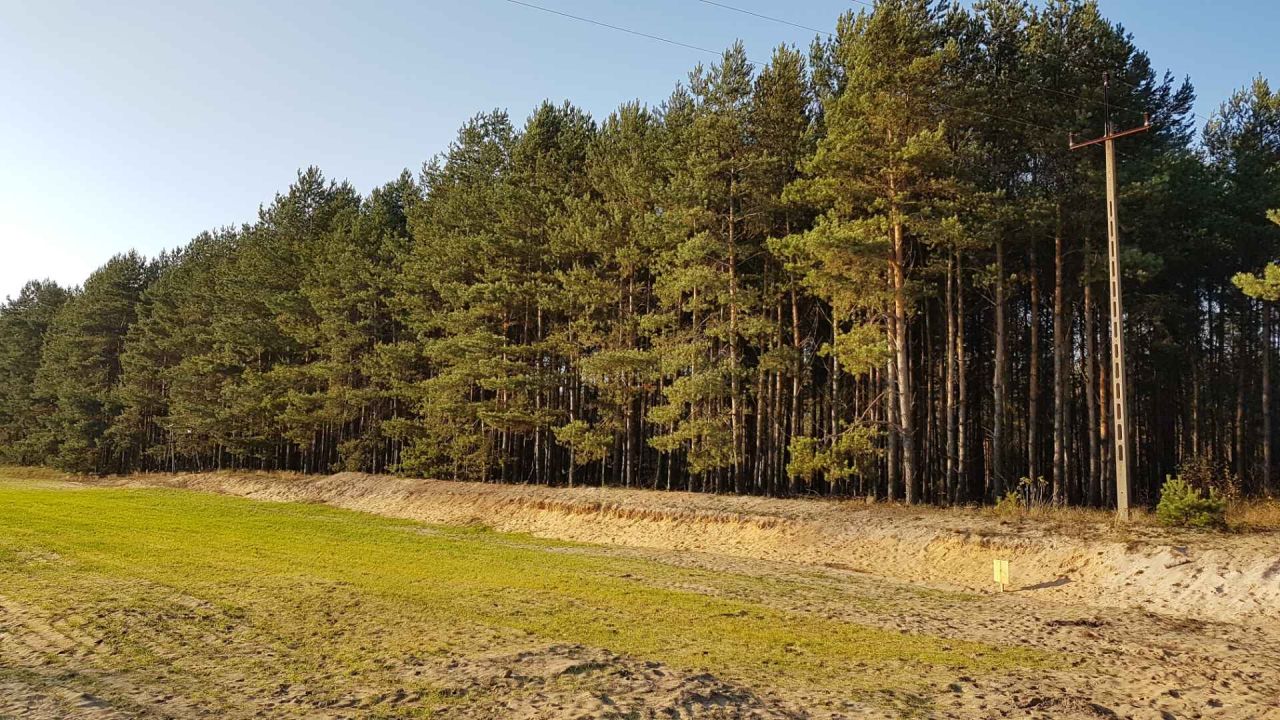 Działka rekreacyjna Drużykowa. Zdjęcie 3