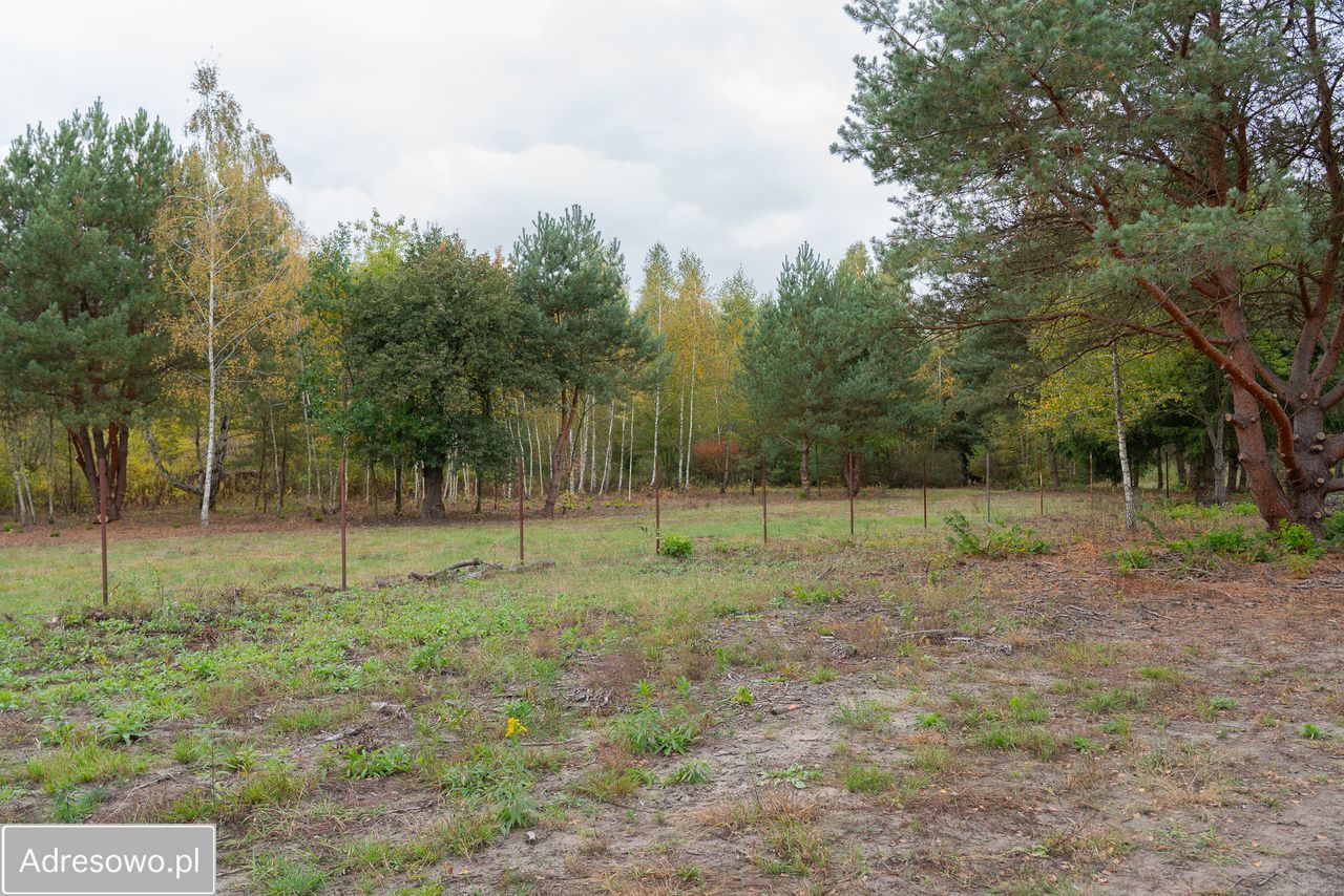 Działka budowlana Wojcieszyn, ul. Trakt Królewski. Zdjęcie 3