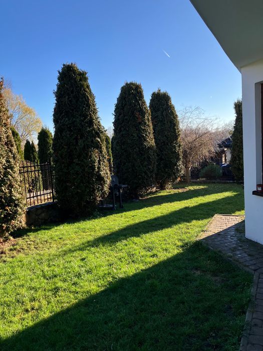 bliźniak Bibice. Zdjęcie 8