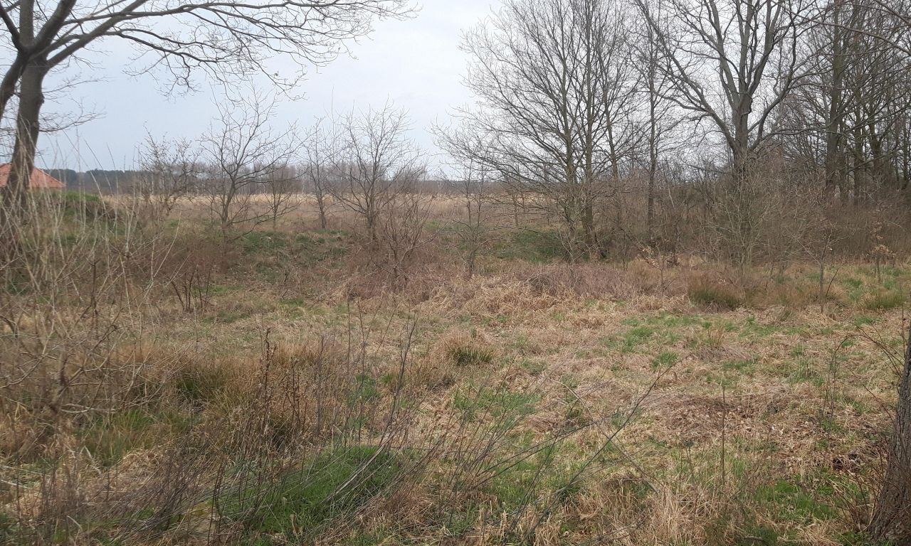 Działka rolno-budowlana Koźla. Zdjęcie 5