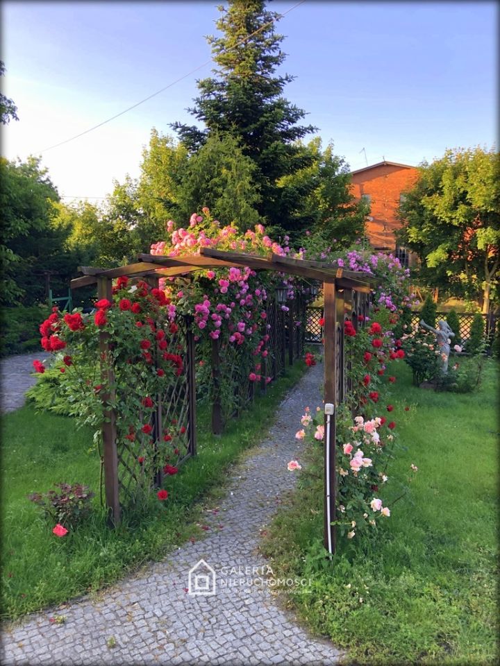 dom wolnostojący, 7 pokoi Rogowo, ul. im. Klemensa Maciaszczyka. Zdjęcie 10