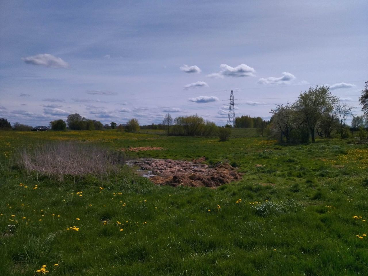 Działka rekreacyjna Raj. Zdjęcie 11