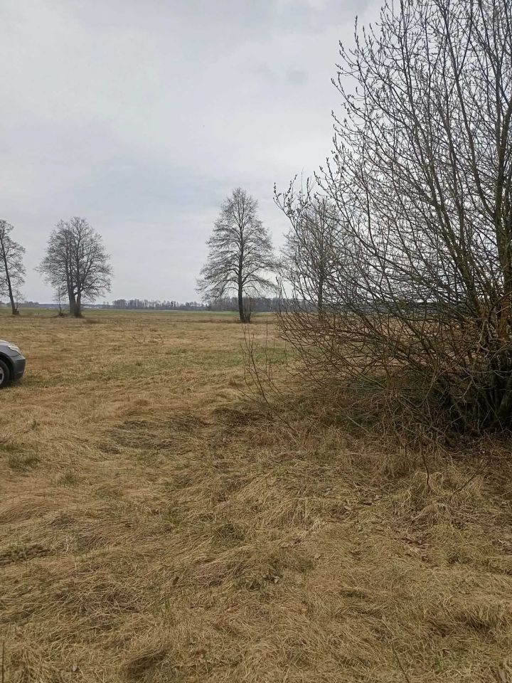 Działka budowlana Toczyłowo. Zdjęcie 2