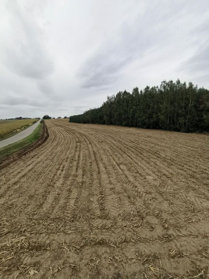 Działka budowlana Bryszki. Zdjęcie 2