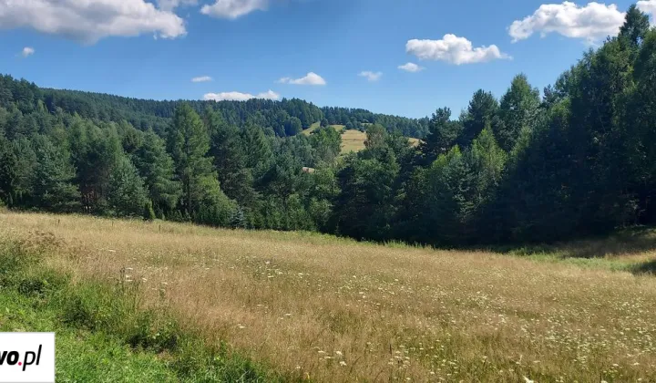 Działka budowlana Złockie