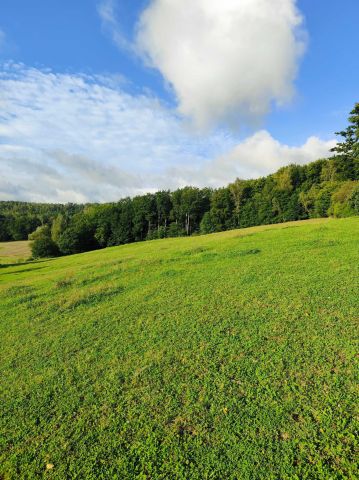 Działka budowlana Brodnica Górna. Zdjęcie 1