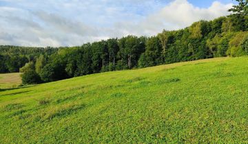 Działka budowlana Brodnica Górna