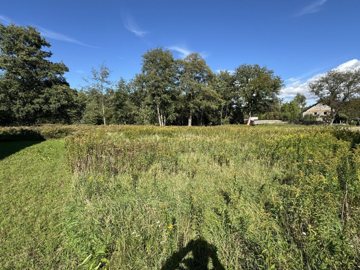 Działka budowlana Długołęka, ul. Adama Mickiewicza. Zdjęcie 8