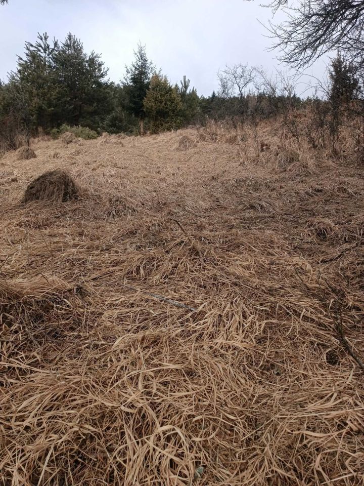 Działka rolna Sromowce Niżne. Zdjęcie 5