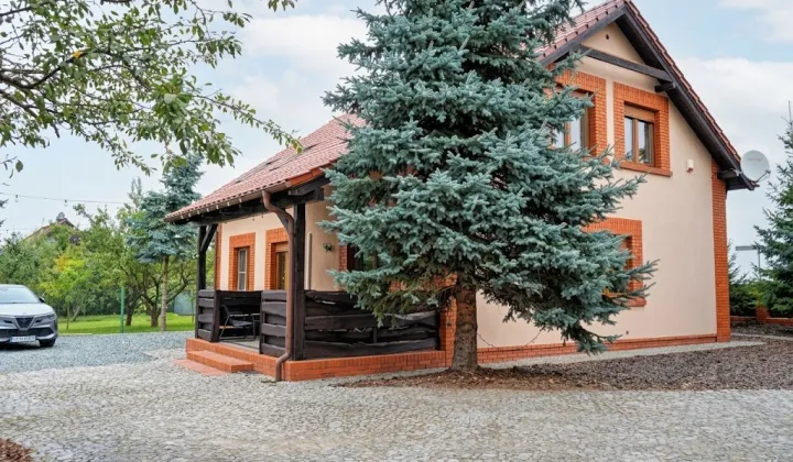 dom wolnostojący, 5 pokoi Borgowo
