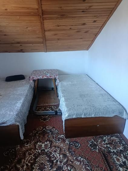 Działka rod Bartoszewo. Zdjęcie 7