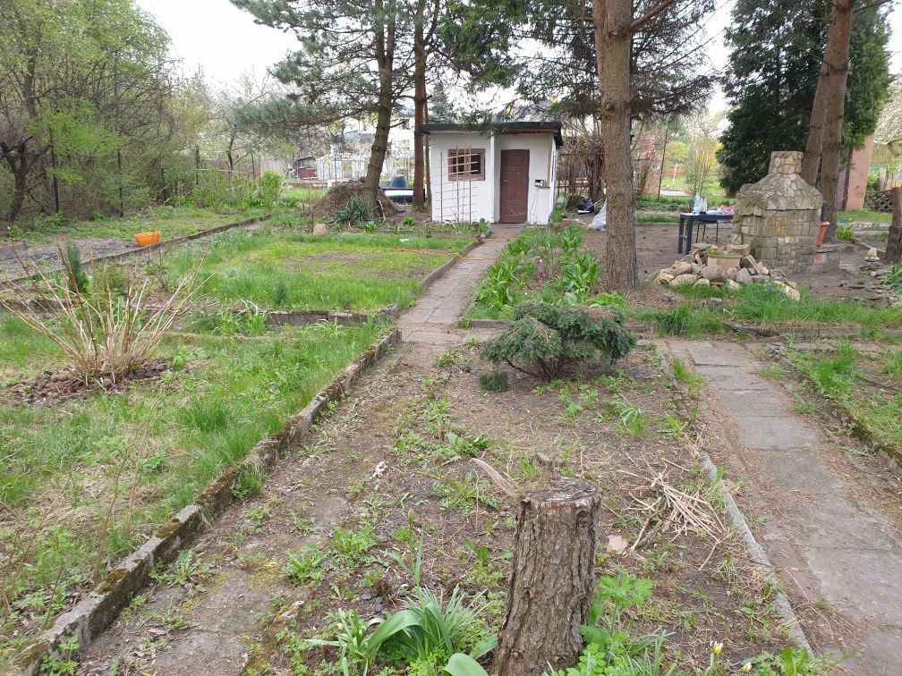 Działka rekreacyjna Sosnowiec, ul. Kukułek. Zdjęcie 1