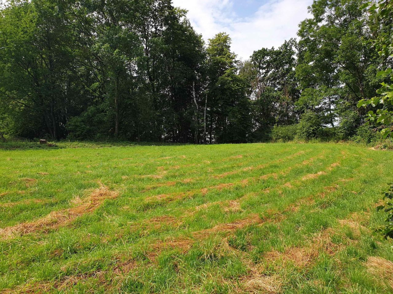 Działka rolno-budowlana Kęty Widok, ul. Widok. Zdjęcie 3
