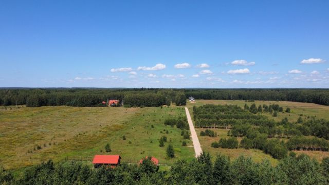 Działka budowlana Pilchy. Zdjęcie 6