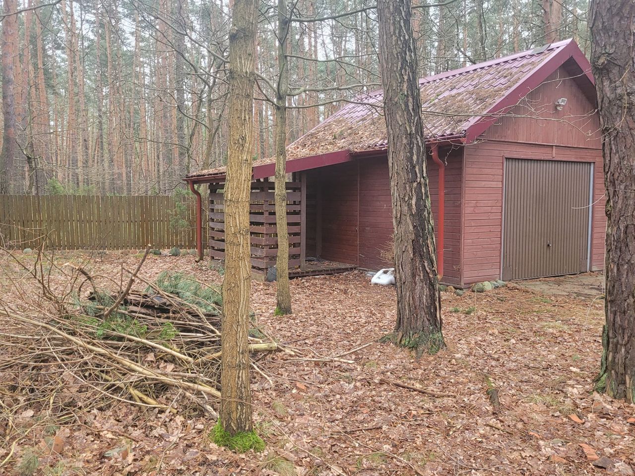 Działka leśna Poddębie, ul. Brzozowa. Zdjęcie 3