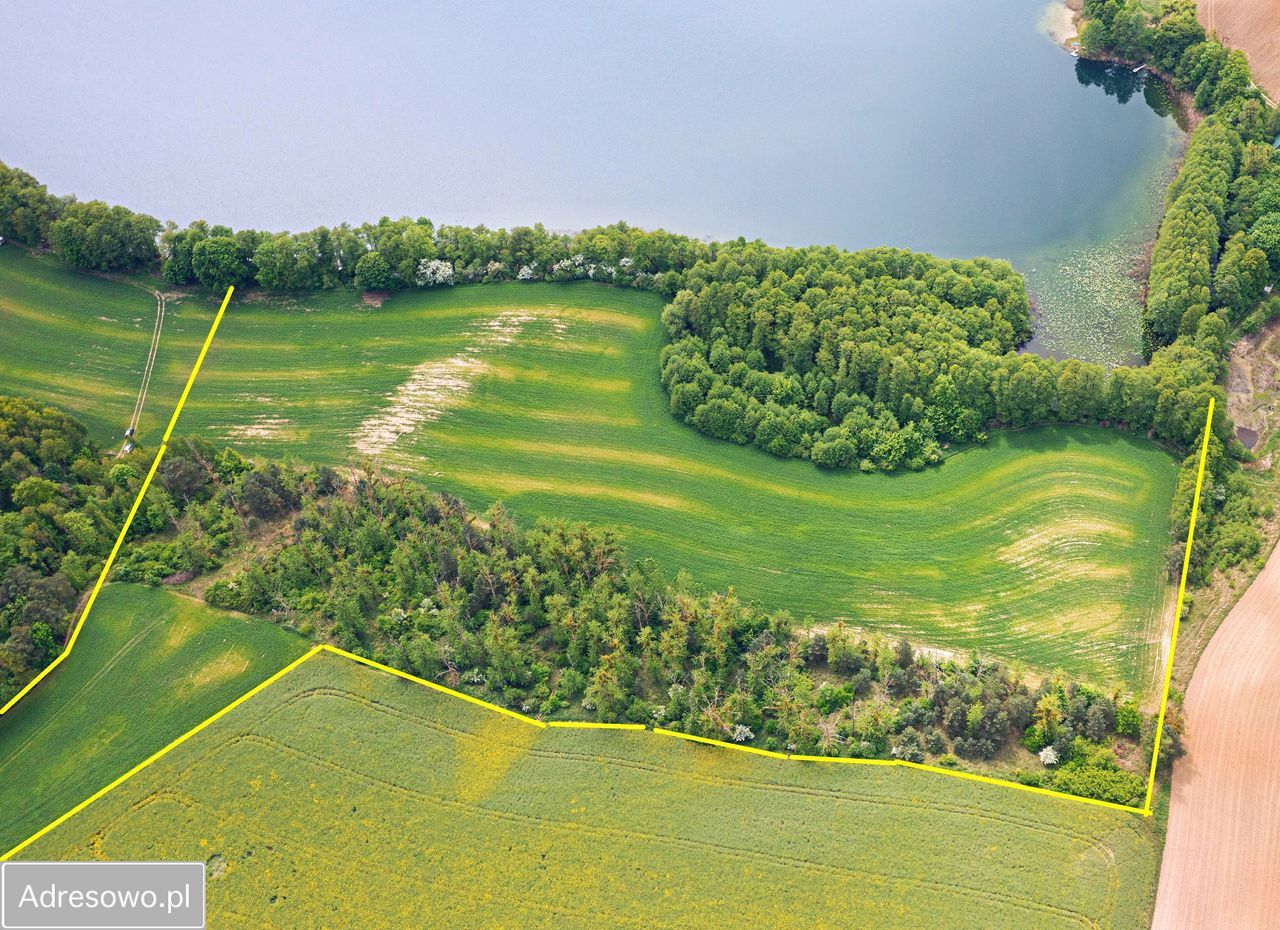 Działka siedliskowa Sieraków. Zdjęcie 12