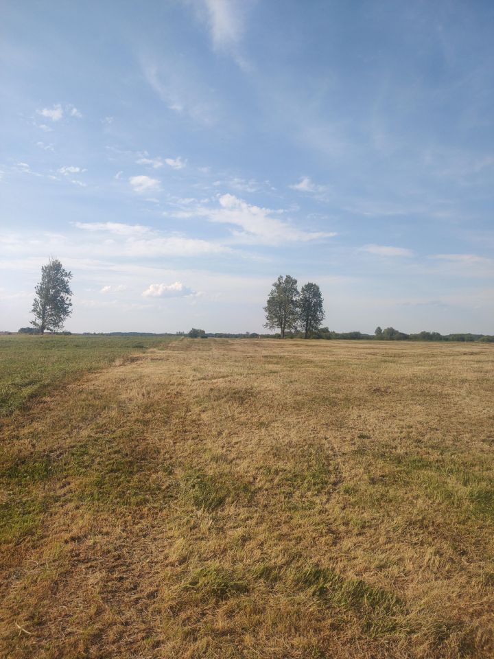 Działka rolna Słomianka Sępiki. Zdjęcie 6