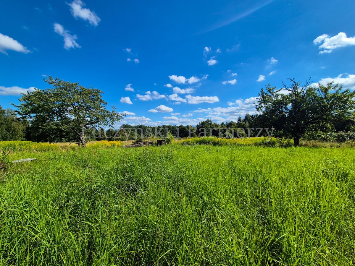 Działka siedliskowa Kłopotnica. Zdjęcie 2
