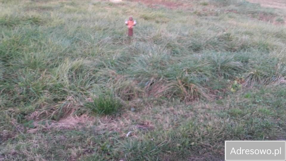 Działka budowlana Komorów. Zdjęcie 7