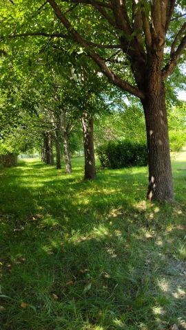 dom wolnostojący, 9 pokoi Sobącz. Zdjęcie 63