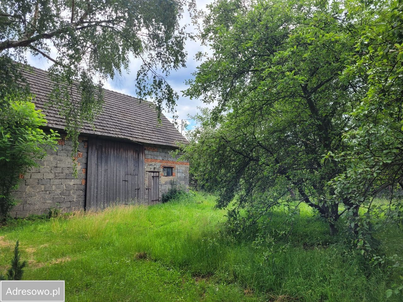 Działka siedliskowa Stoszowice. Zdjęcie 4