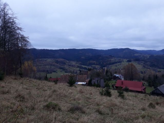 Działka rolna Glinka. Zdjęcie 1