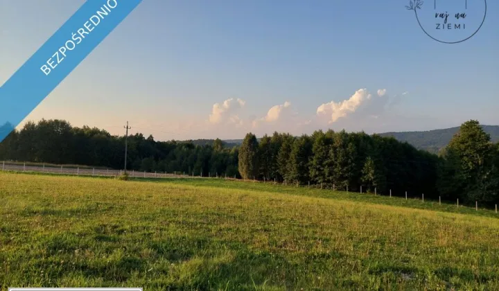 Działka budowlana Huta Gogołowska