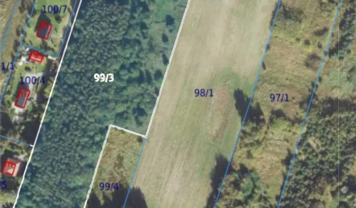 Działka siedliskowa Kłos