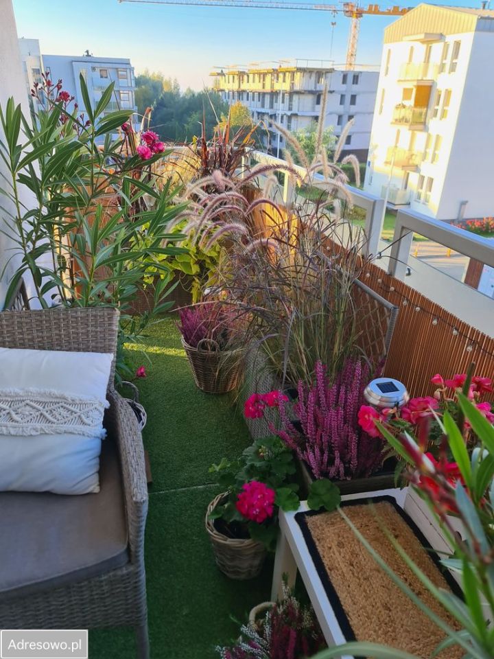 Mieszkanie 2-pokojowe Lublin, ul. Gęsia. Zdjęcie 3