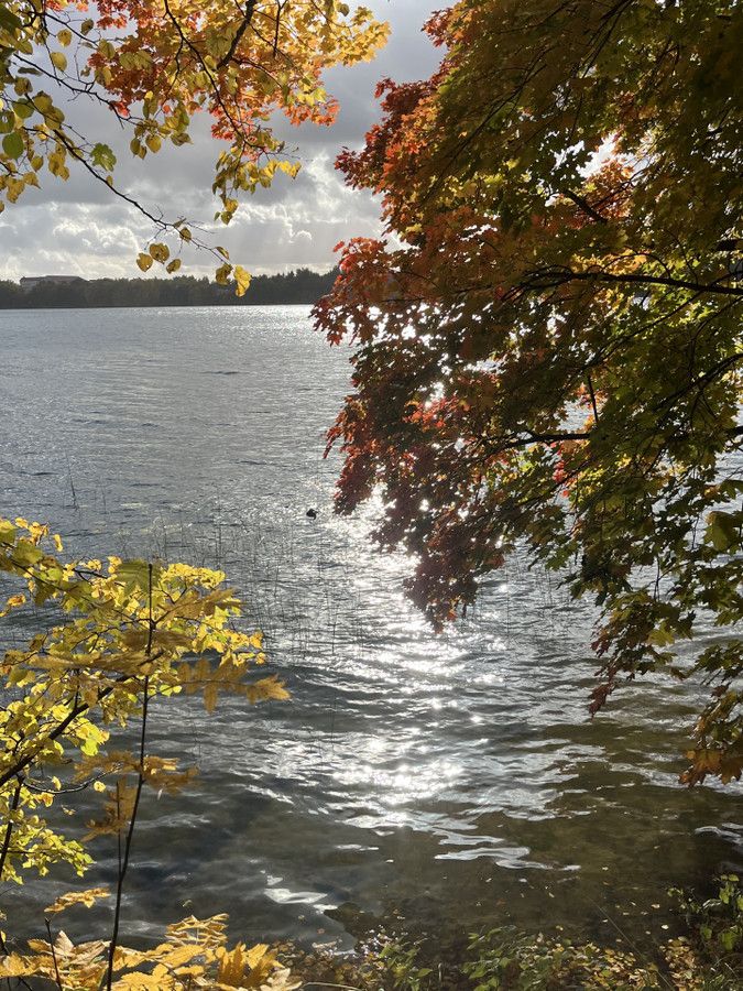 dom wolnostojący Szymanowo. Zdjęcie 22