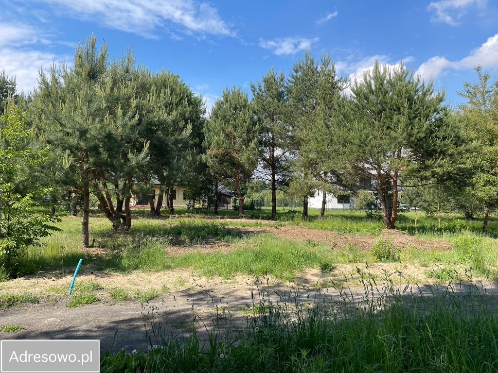 Działka rekreacyjna Stara Wieś, ul. Romańska. Zdjęcie 2