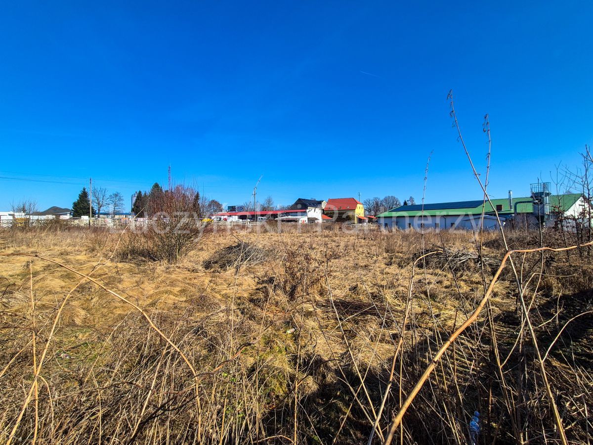 Działka inwestycyjna Gryfów Śląski, ul. Targowa. Zdjęcie 5