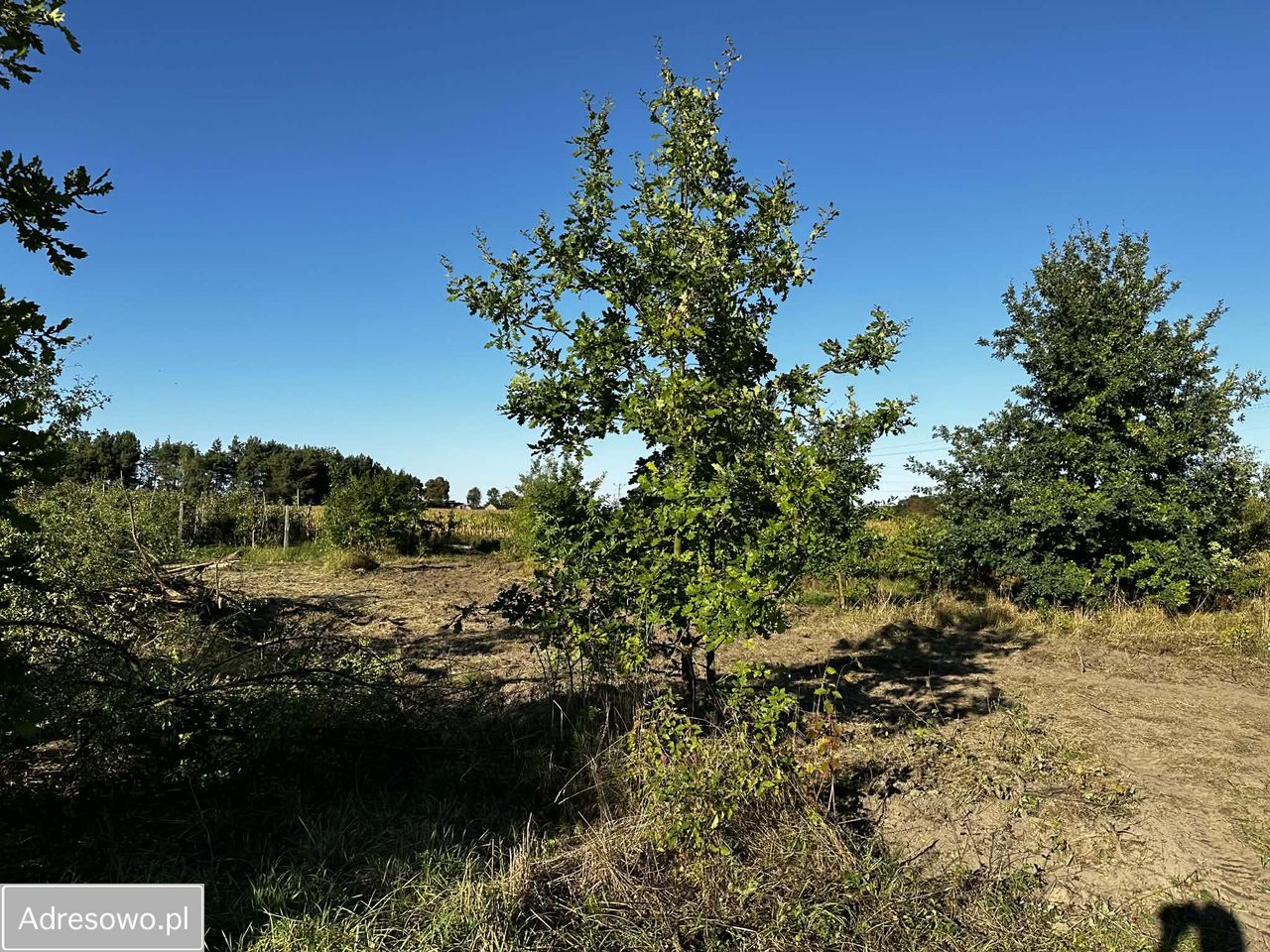 Działka budowlana Sójki. Zdjęcie 1